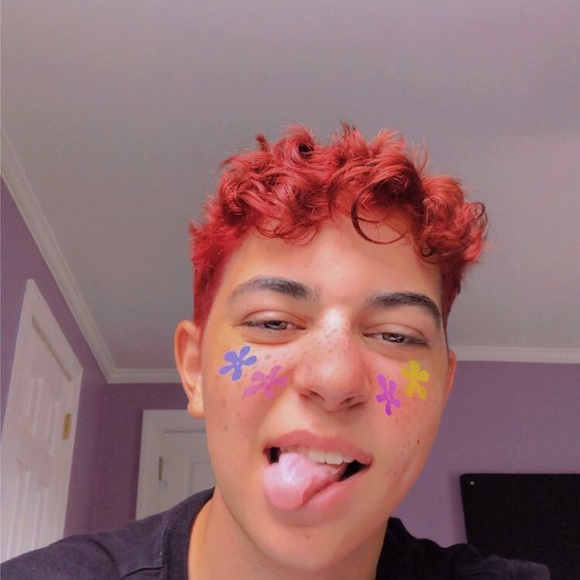 Meet your Posher, Sam - Picture 5 of 5